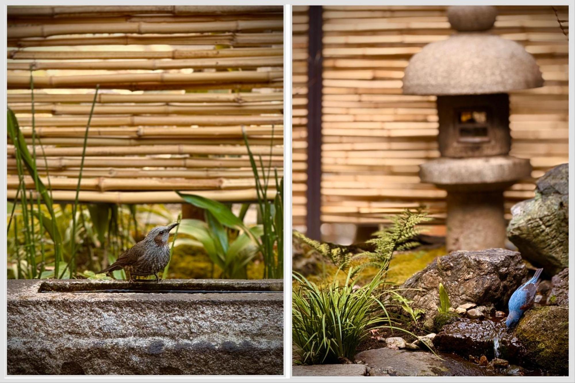 Ryokan Tori Kyōto Camera foto