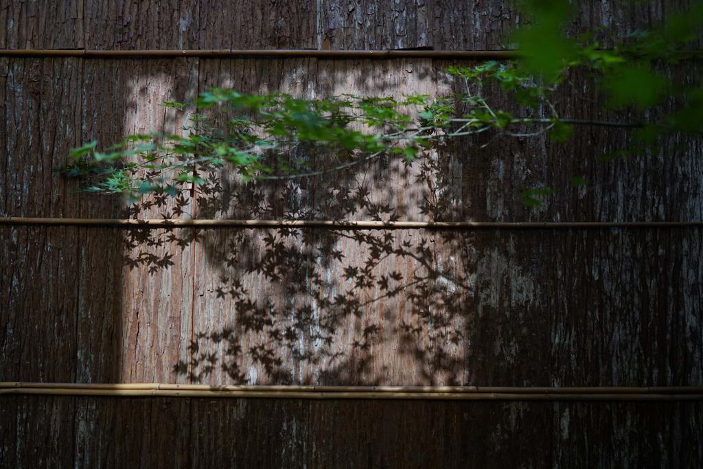 Ryokan Tori Kyōto Esterno foto